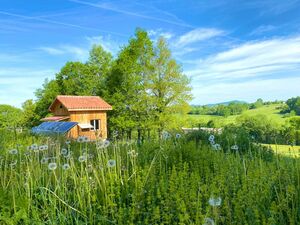 House with two outbuildings on a lot surrounded by nature
