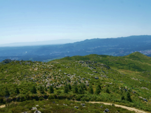 Historic Estate with 6 Hectares,and 5 Traditional Stone Hous