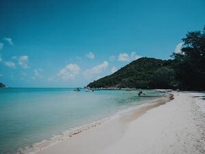 Golden Opportunity! Beachfront Resort for Sale on Koh Phanga