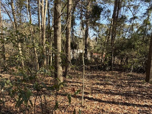 0.77 Acre Lot for Sale in Jasper County SC