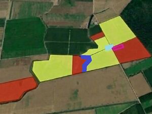 WALNUT ORCHARD: HIGH-POTENTIAL AGRICULTURAL BUSINESS –74.9ha