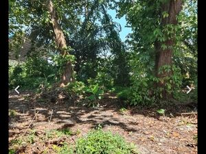 Commercial lot in Tagum City 