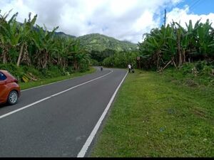 Farm lot in maragusan 