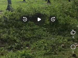 Farm lot in samal island, Philippines 