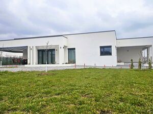 Contemporary Single-Storey House with Large Land