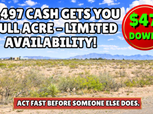Just $2,497 Gets You 2 0.50-Acre Lots in Luna. Buy Now!