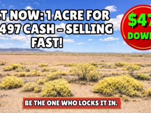 Two 0.50 Acre Lots Totalling 1 Acre. Secure It for $2,497