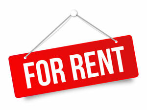 I am renting a five-room furnished apartment in Kać-Novi Sa