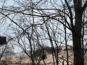 Sea View Apartment with 2 bedrooms, Dune Residence