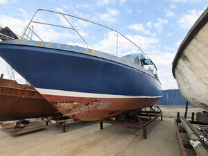 Cruising Houseboat Project - Canard  £25,000