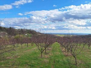 I am selling a plot - land in the LUX zone