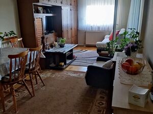 Furnished apartment of 45m2 in Novi Sad for sale