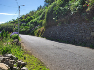 Land with 30.000m2, Fontinhas area, Lombo de Cima, Madeira