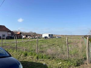 Plot for sale in Temerin