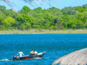 (4) 1,297-hectare property - San Pedro - Paraguay