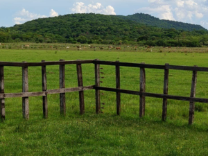 (2) 110 hectares, Santa María, Misiones, Paraguay
