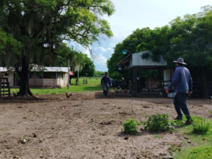 (7) 432 has for Sale in Tuparenda Area, Caazapá