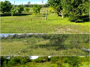 (12) Farm / Ranch of 5100 has and 3000 un. cattle Concep. PY