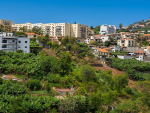 Land 5270m2,   Pilar area, São Martinho, Madeira Island