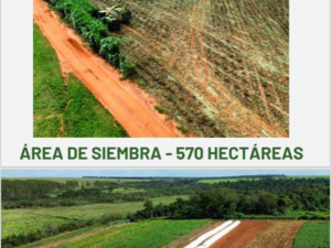 (14) Farm of 638 has. zona San Pedro