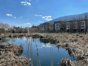 New houses for sale at the foothold of the Vitosha Mountain