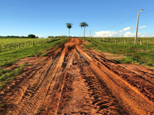 (8) 435 has of agriculture in Paraguay