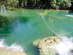 (4) Property of 1,159 Hectares in Concepción, PY