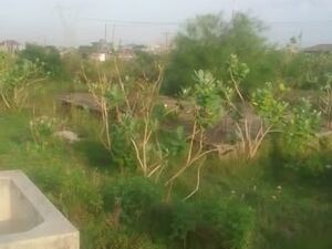 TITLED REGISTERED PLOT OF LAND FOR SALE@ TEMA COMM.25