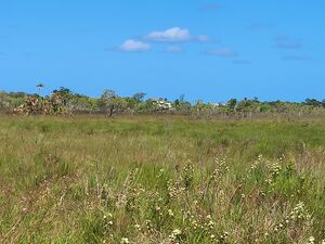  RARE One Acre Lot in Independence