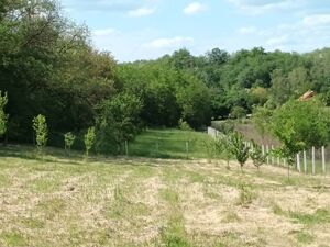 Panoramic mini estate near Lake Balaton
