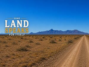 1.08 Acres in Luna County, NM | Only $47 Down