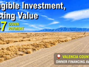 Smart Investment of 2026! Buy 0.25 Acre For Just $47/down