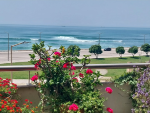 Apartment on the Atlantic coast in Figueira da Foz, Portugal
