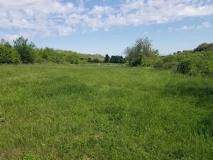 Plots for sale in Beočin-Sakotinac