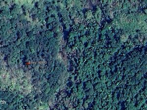 25 acres Belize Farmland with Hilltop View