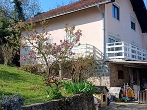 I am selling a house in Artiljevo, Sremska Kamenica, Novi Sa