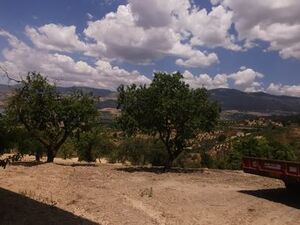 Panoramic House and land in Sicily - Salvo Cda Boschetto