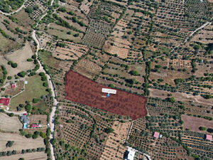 10,363 m² Freehold Land for Sale Fethiye Turkey
