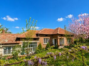 HOUSE WITH 3500 SQ.M LAND , farm buildings no neighbours