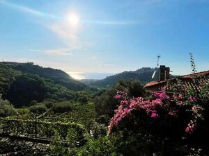 Seaview villa with garden and terrace 2.77 km to the sea 