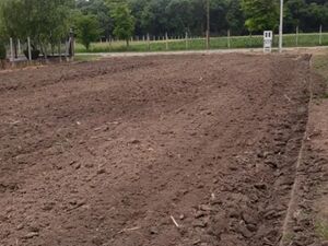 Land for sale in Voganj-Ruma
