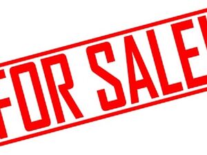 A plot with two houses in Pancevo is for sale