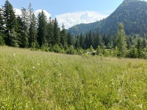 Extravillan mountainous plot