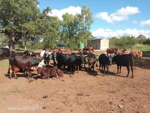 306.8-Hectare Property for Sale in Namaacha