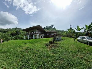 Coffee Farm Near Filadelfia, Caldas - 5.5 Hectares