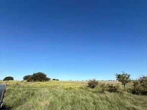Field For Sale