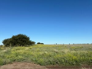Field For Sale