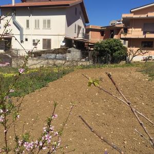 Building plot in Sicily - Lotto Pendino
