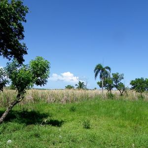 Land for construction project near beach in Cabarete