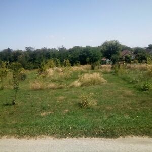 Plot for RENT Extreme good for mobilehome parking 